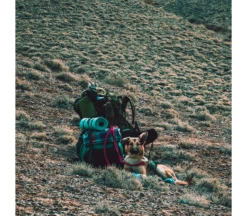 Lowland Super Compact Blanket -De Kampeerplek 3244867 8718627782682 5