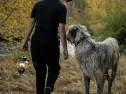 Barebones Railroad Lantern - Olive -De Kampeerplek 3352591 819665012811 5